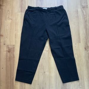 Everlane Dream Pant in Ponte